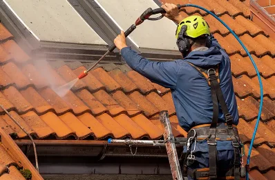 Démoussage et hydrofuge de toiture à Odenas